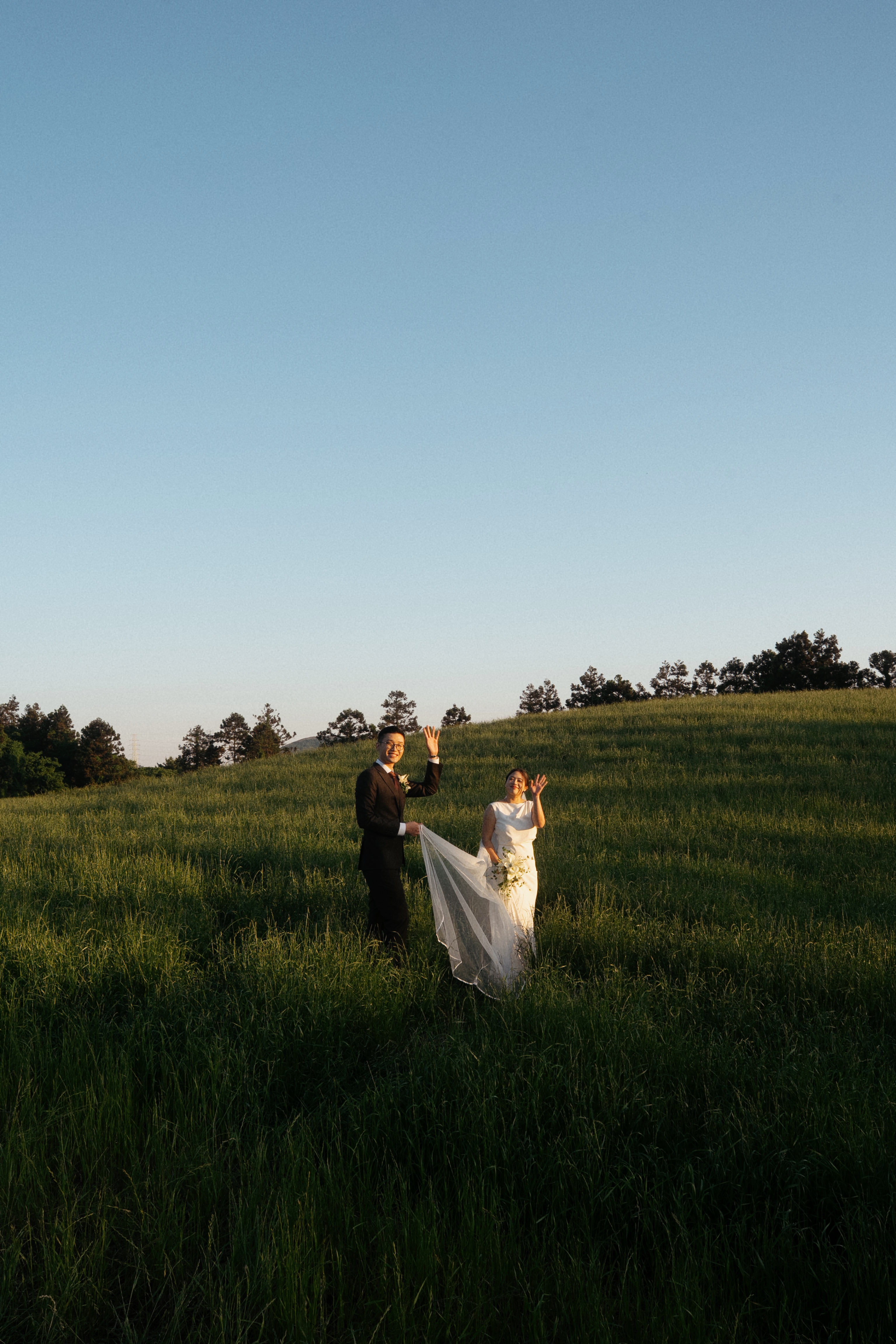 Waving in the meadow